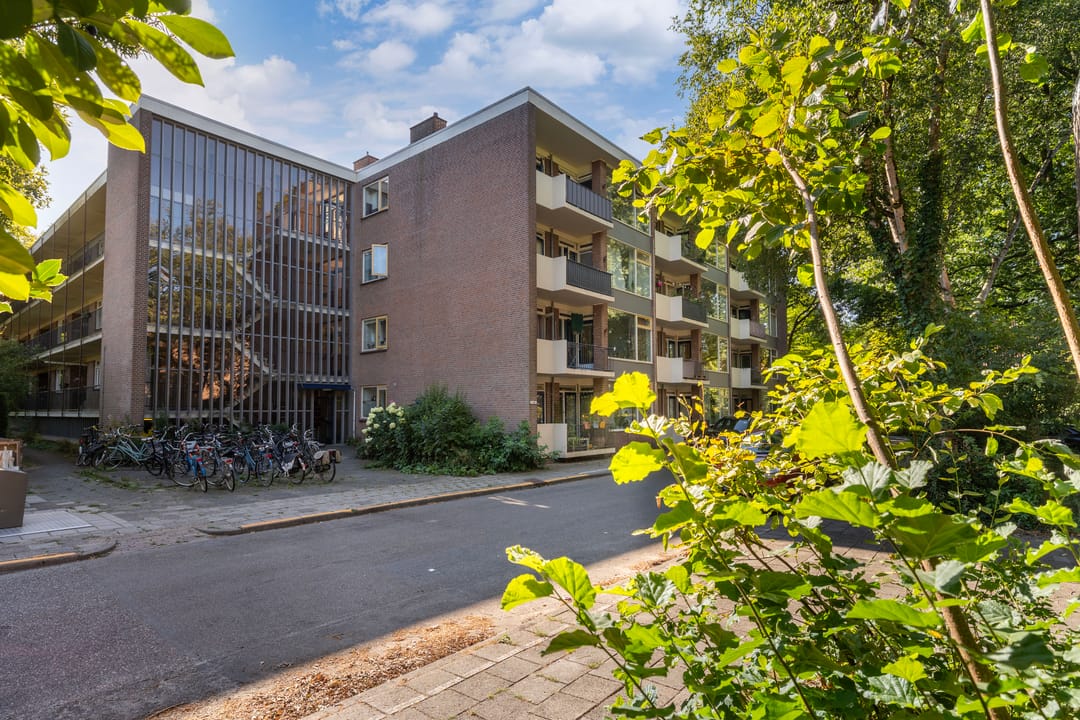 Foto 43 van Eykmanstraat 4-II