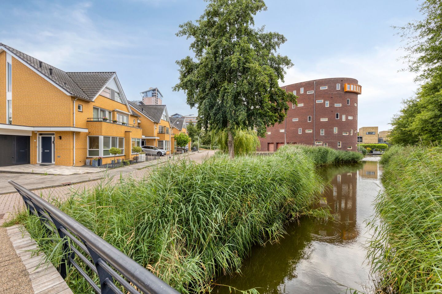 Foto 40 van Watermunt 39