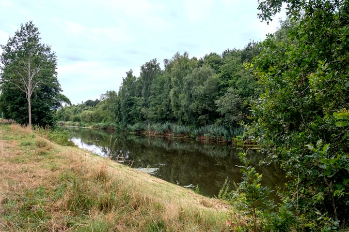 Foto 4 van Buitenbree 18