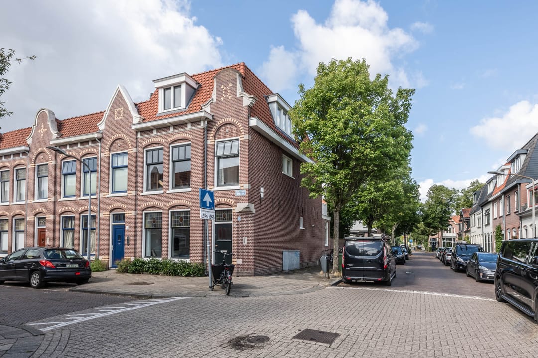 Foto 46 van Goltziusstraat 2