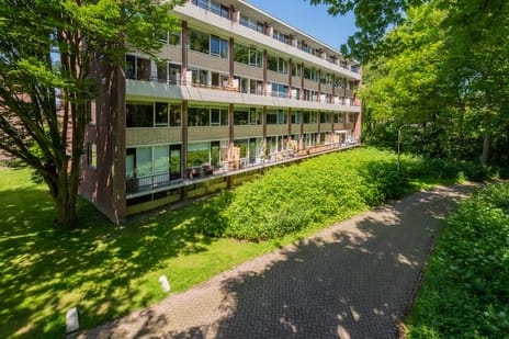 Burggravenlaan thumbnail