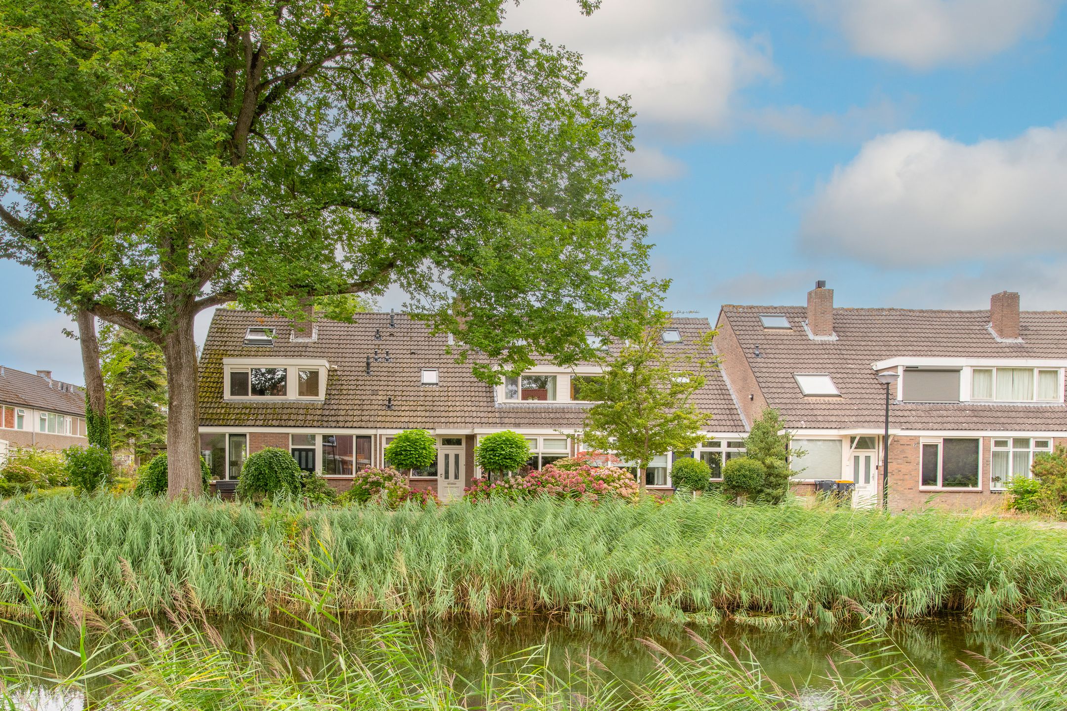 Photo 45 of van Necksingel 21