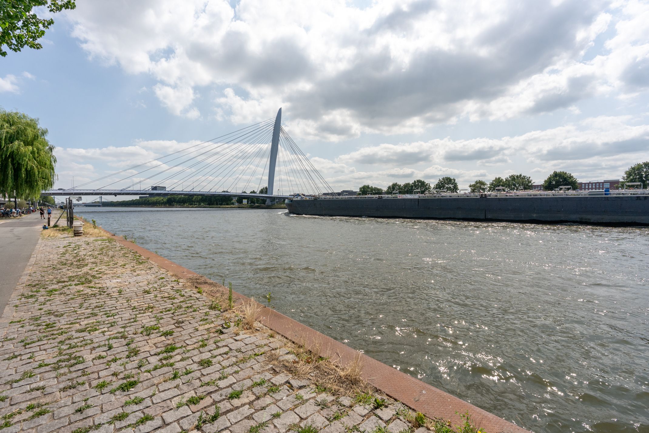 Foto 6 van Rooseveltlaan 448