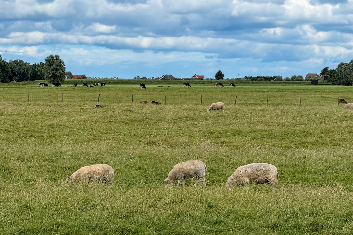 Photo 64 of Dokter Bloemstraat 60
