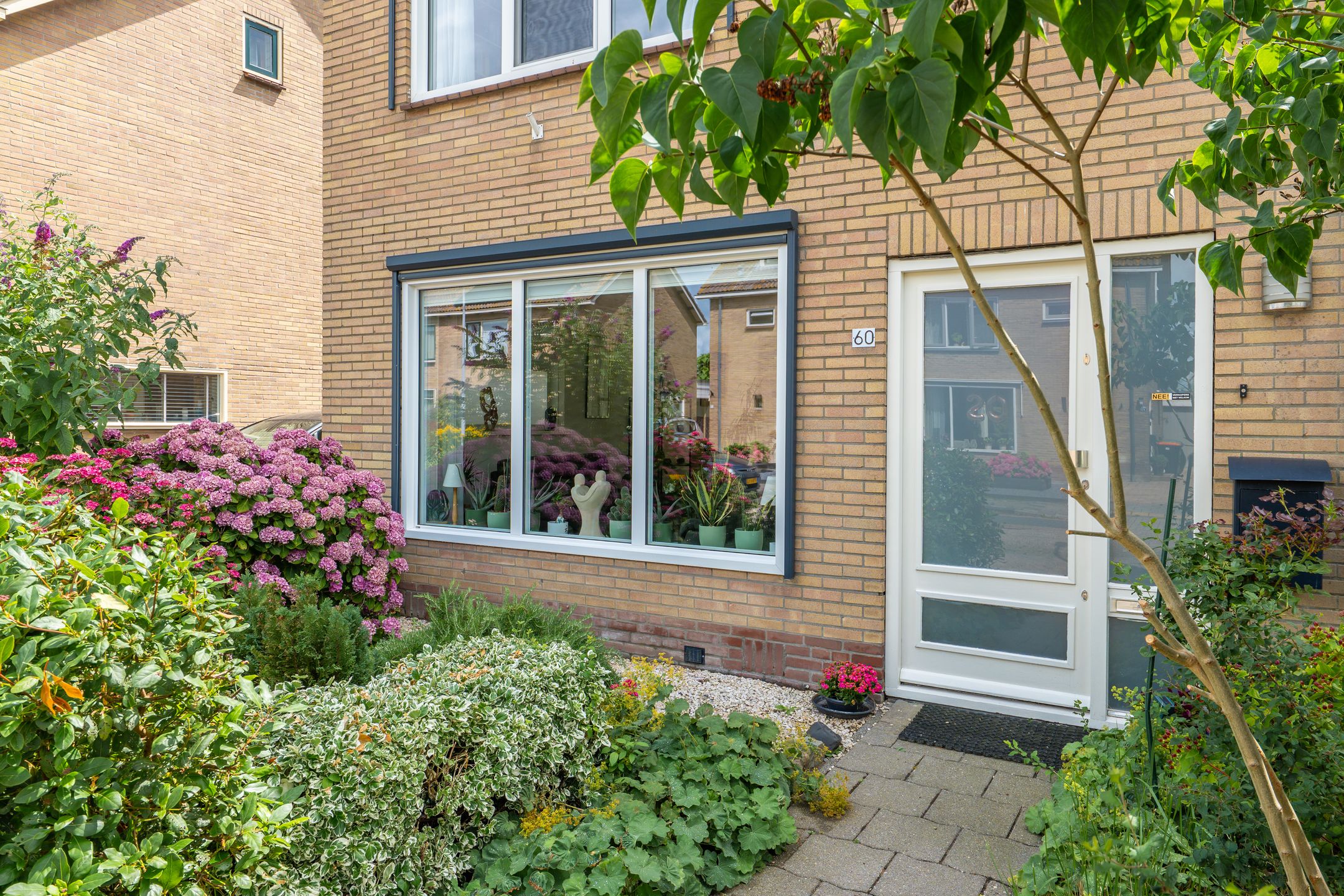Photo 9 of Dokter Bloemstraat 60