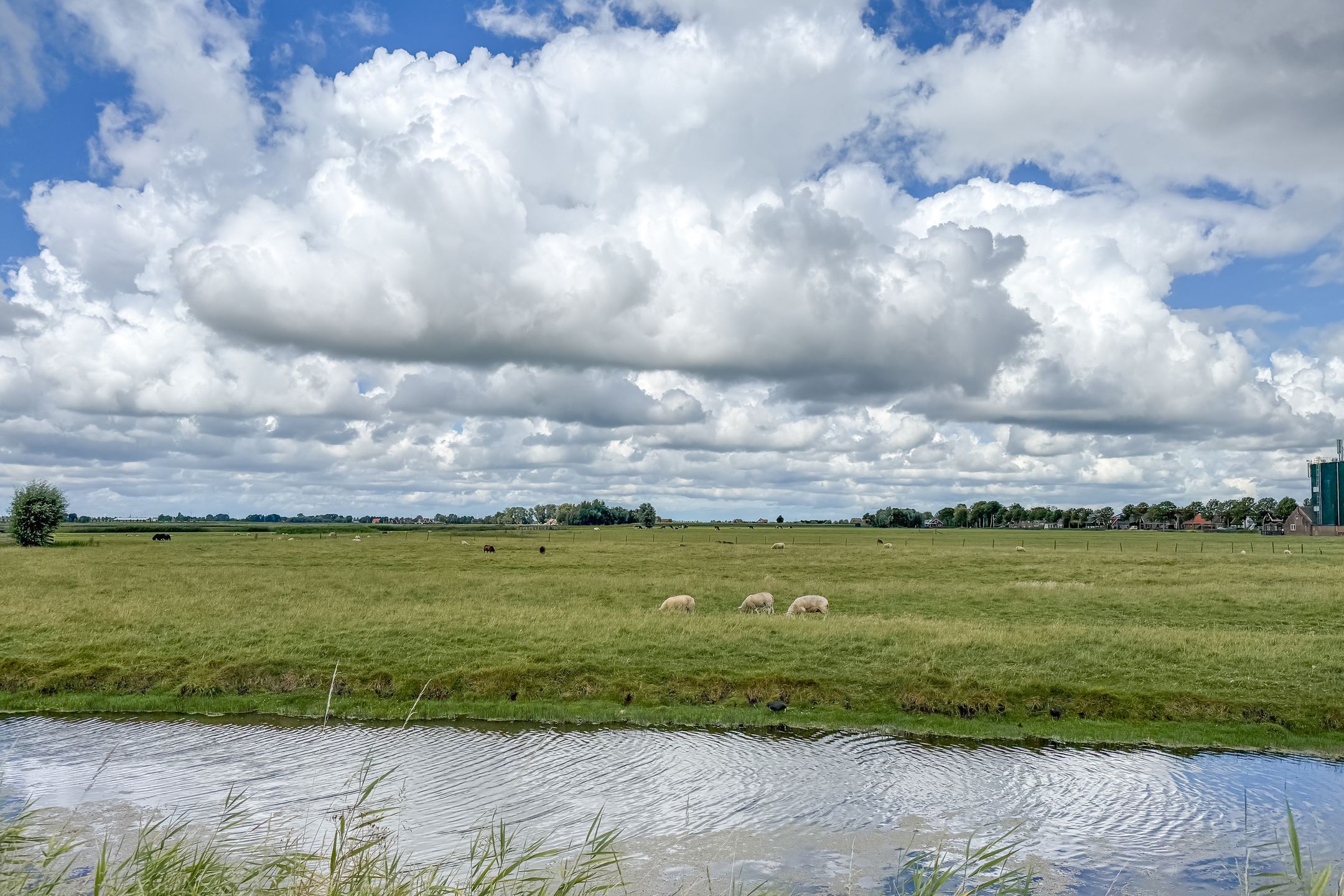 Photo 63 of Dokter Bloemstraat 60