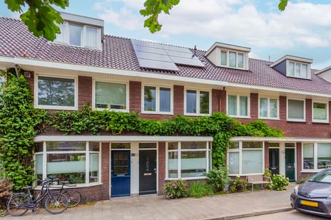 Rijnlaan thumbnail