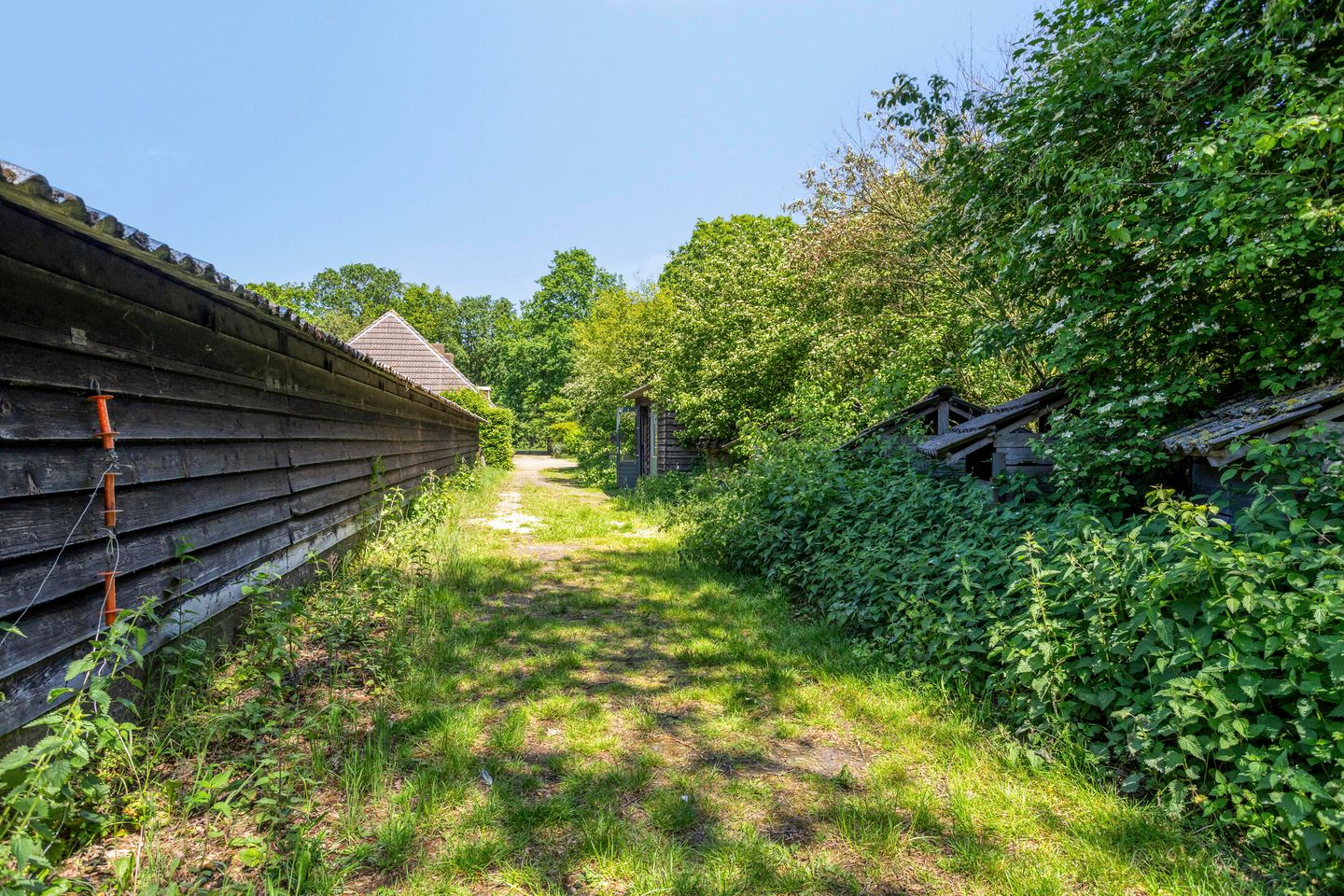 Photo 65 of Broekstraat 72
