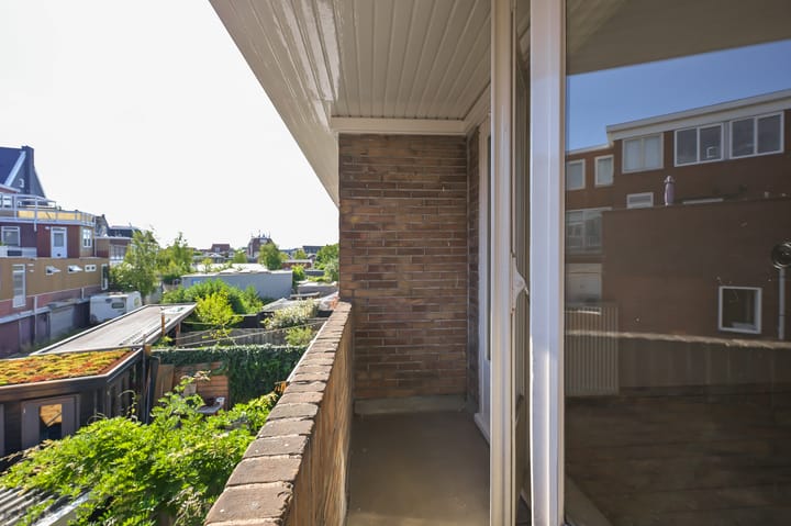 Foto 4 van Apolloplantsoen 3