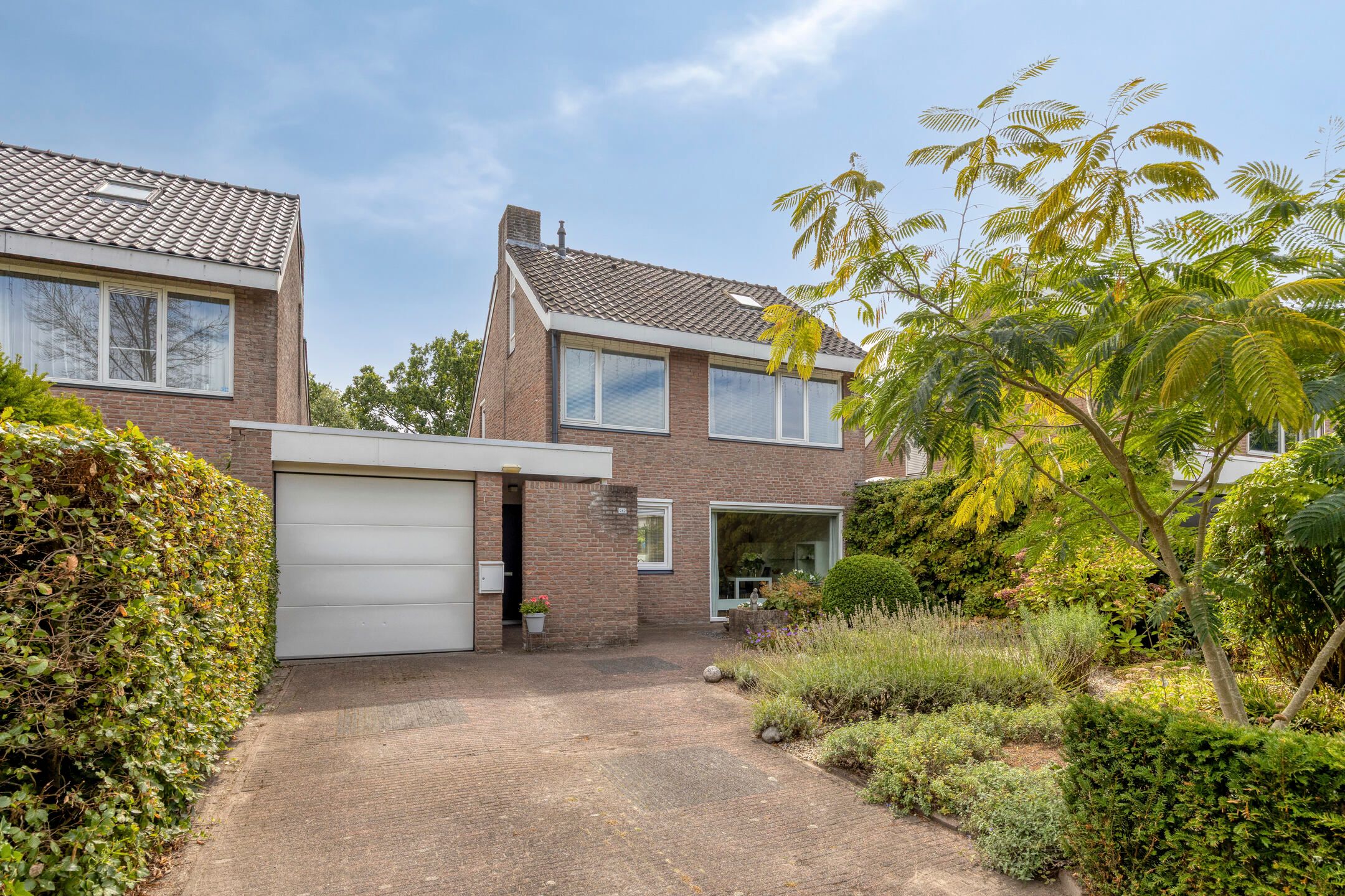 Molvense Erven 262 