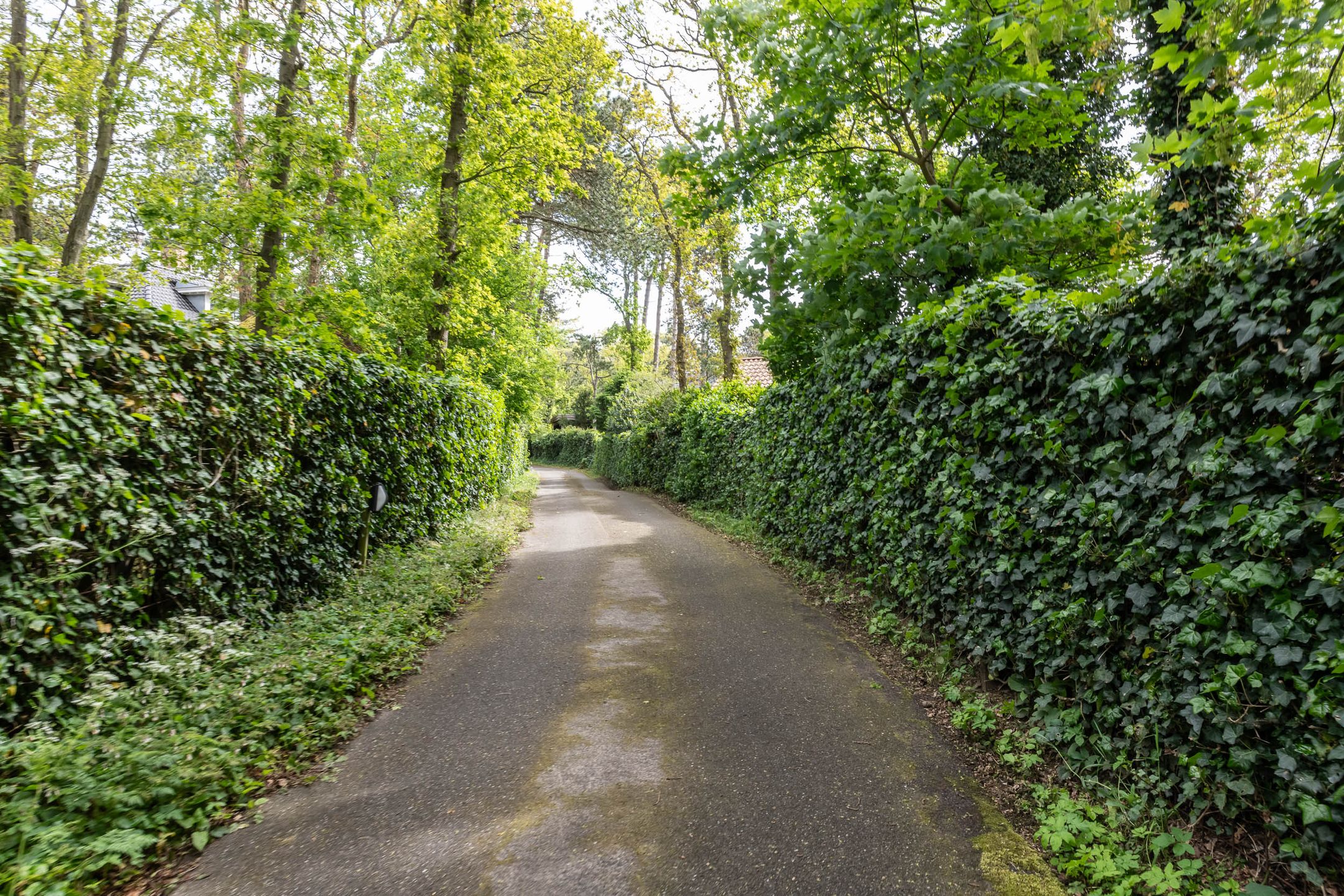 Photo 36 of Westerduinweg 1-A