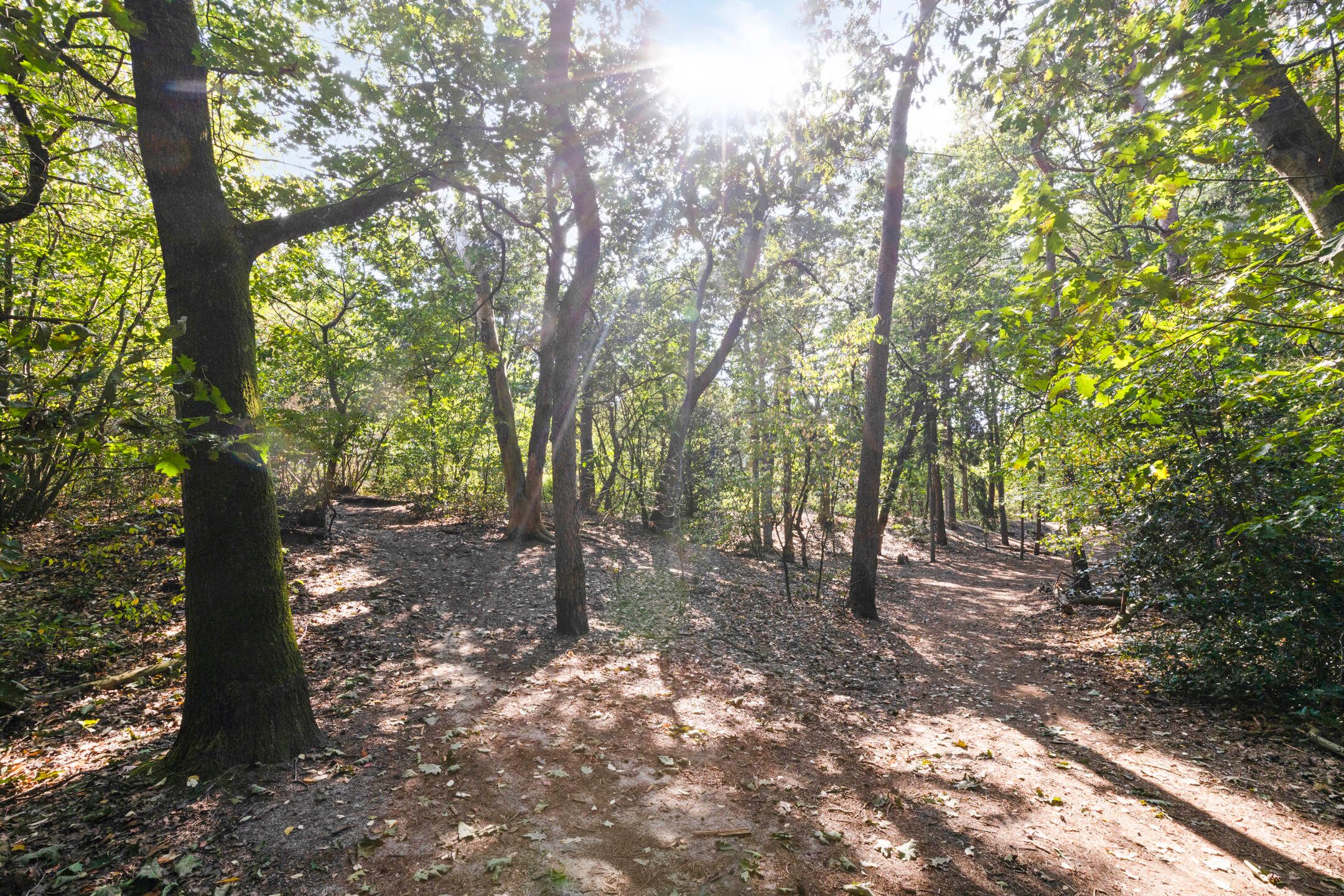 Foto 48 van Kapelweg 44-A