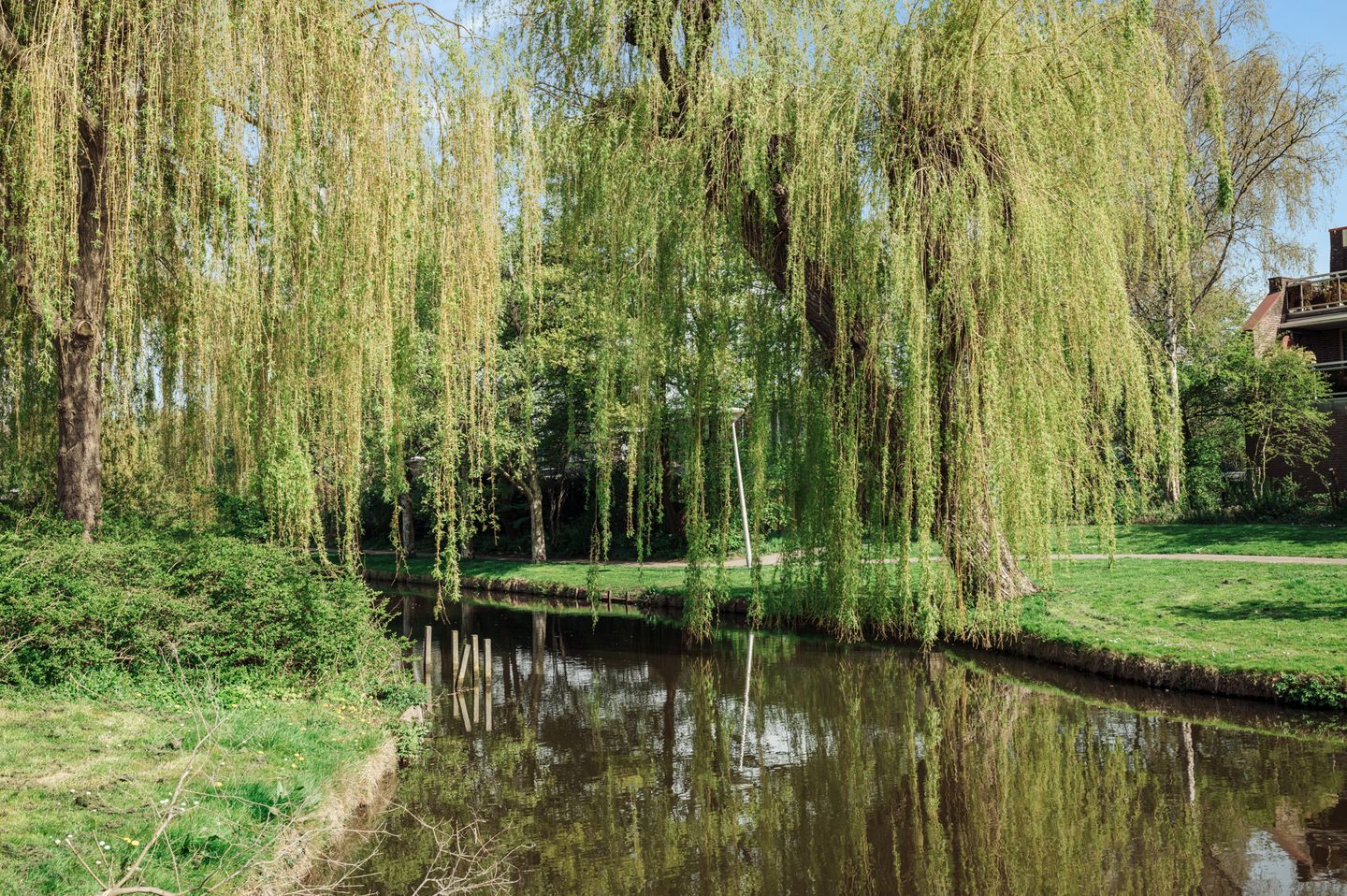Photo 5 of Borssenburg 51
