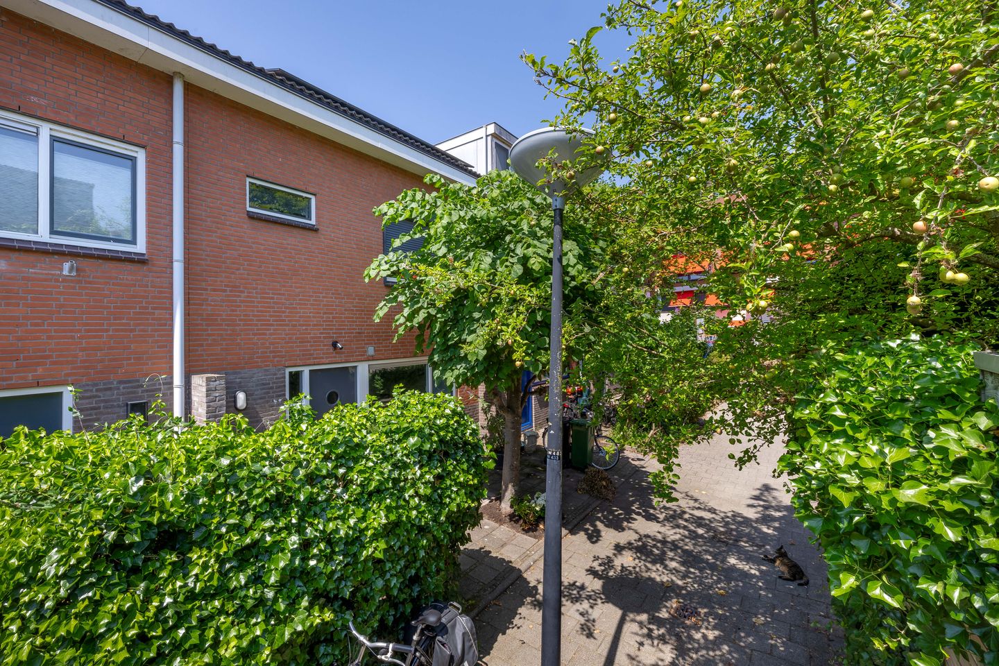 Photo 5 of Pieter Langendijkpad 3