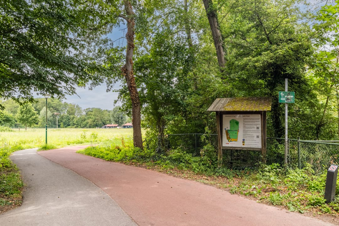 Photo 68 of IJsvogel 25