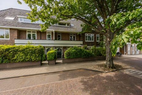 Roemer Visscherplein thumbnail