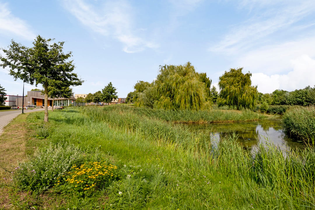 Foto 43 van Waard 16
