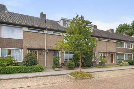Venuslaan thumbnail