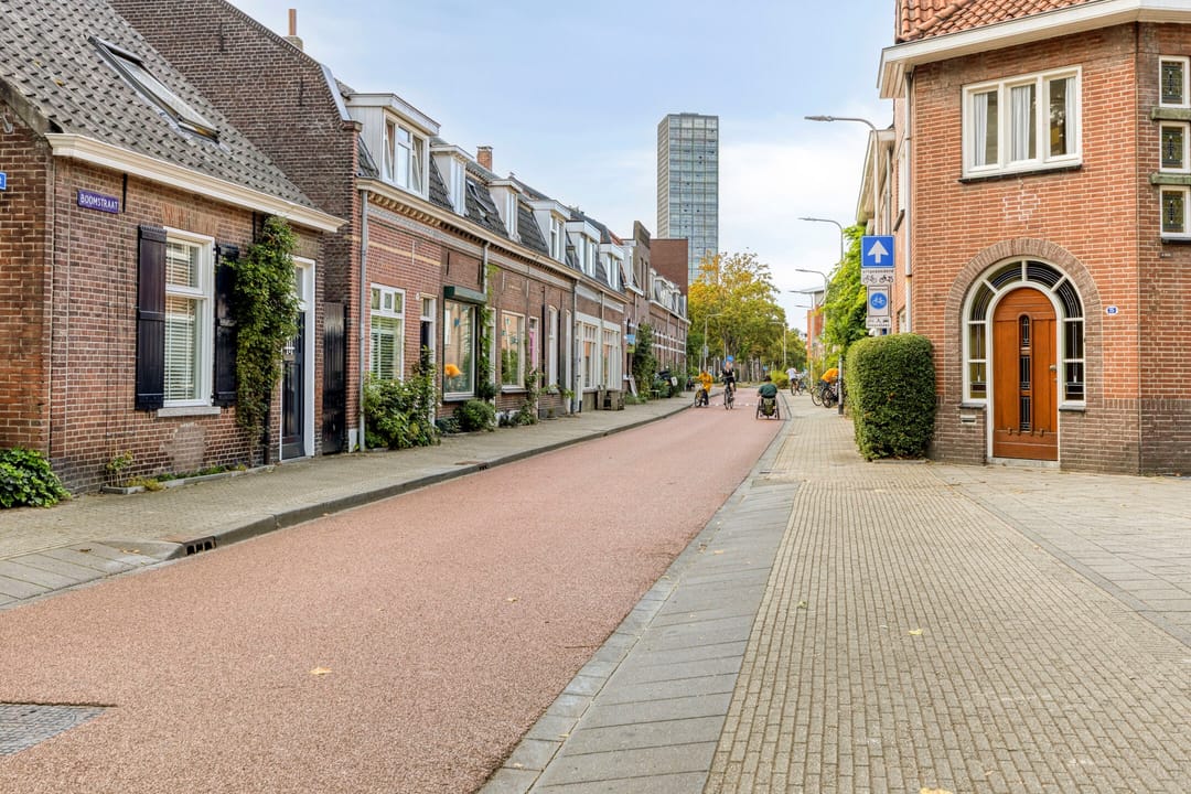 Foto 41 van Boomstraat 124-D