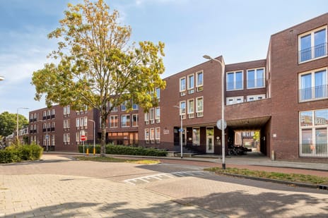Boomstraat thumbnail