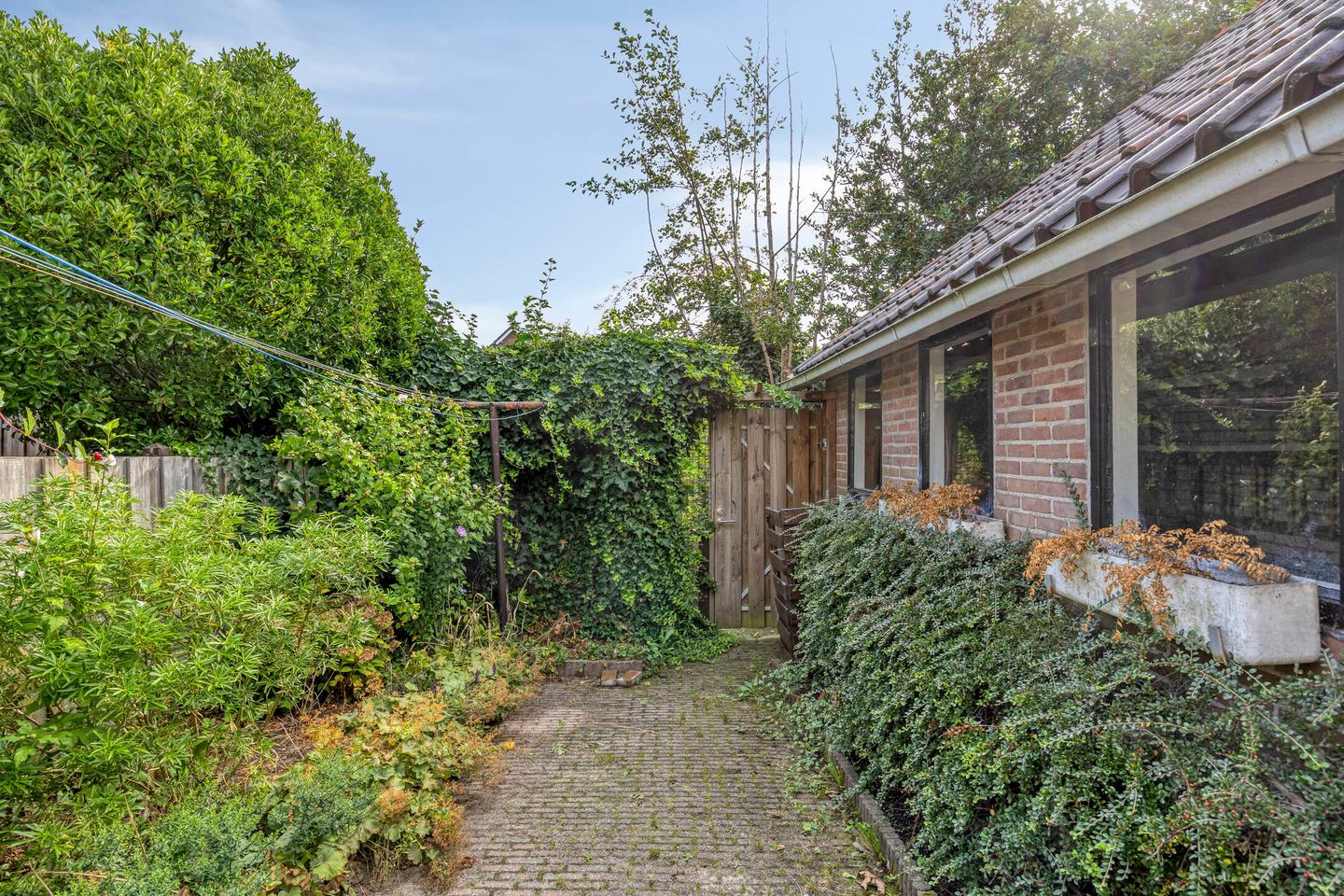 Photo 29 of van Berckenrodelaan 26