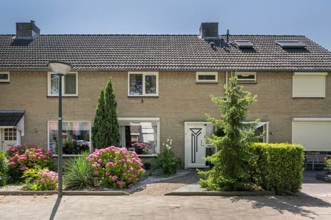 Mossellaan thumbnail
