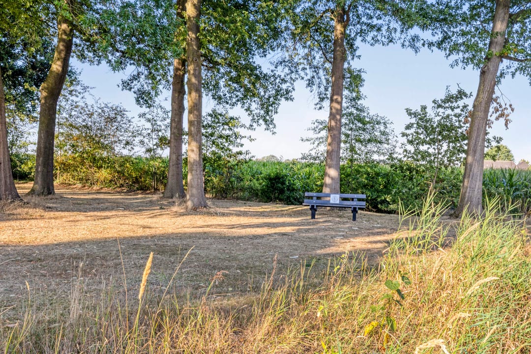 Photo 61 of De Beeten 6