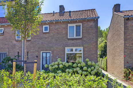 Wilhelminastraat thumbnail