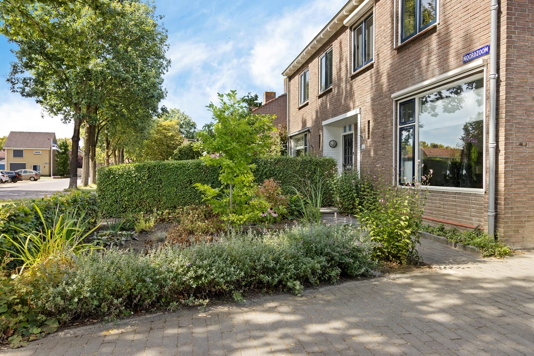 Photo 7 of Noordzoom 135