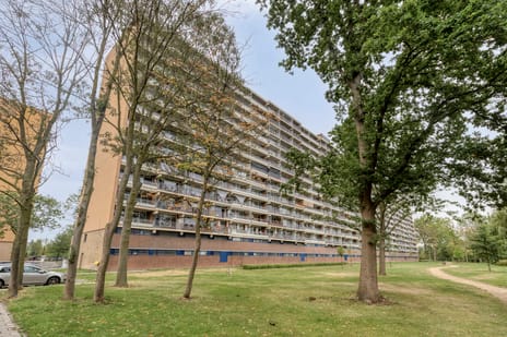 Valeriusrondeel thumbnail