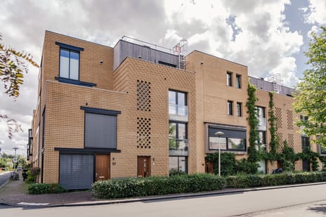 Lippizanerstraat thumbnail