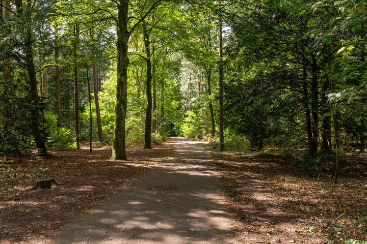 Foto 4 van Marie Koenenlaan 81