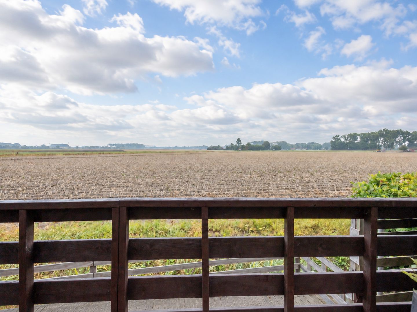 Photo 35 of Knol 18