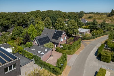 Patrijzenlaar thumbnail