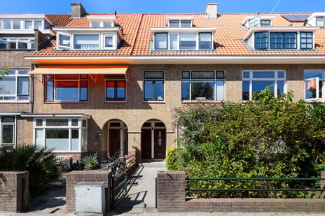 Zonnebloemstraat thumbnail