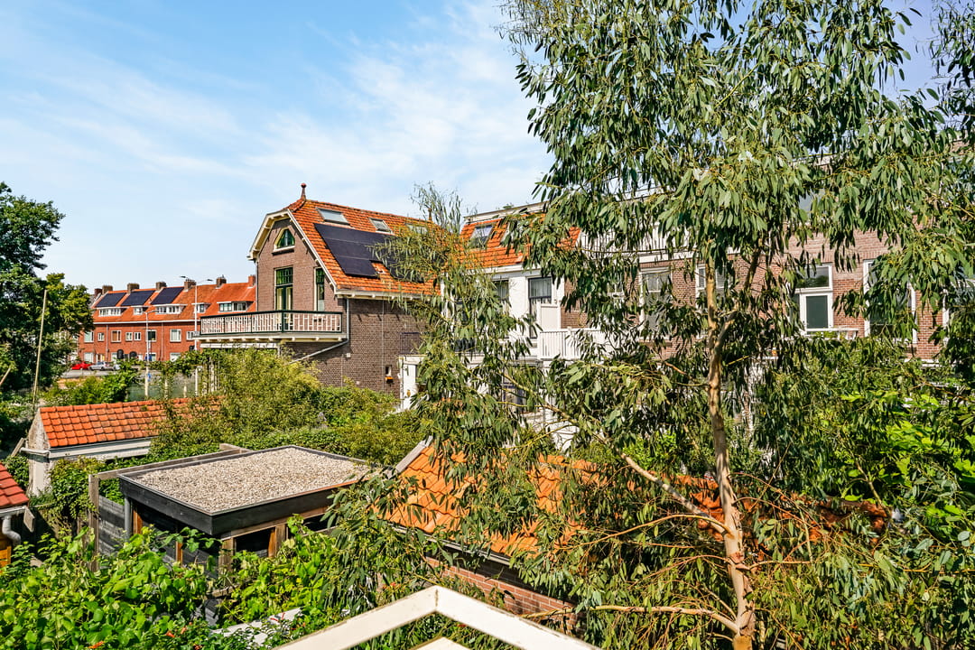 Foto 41 van Meerburgerstraat 1