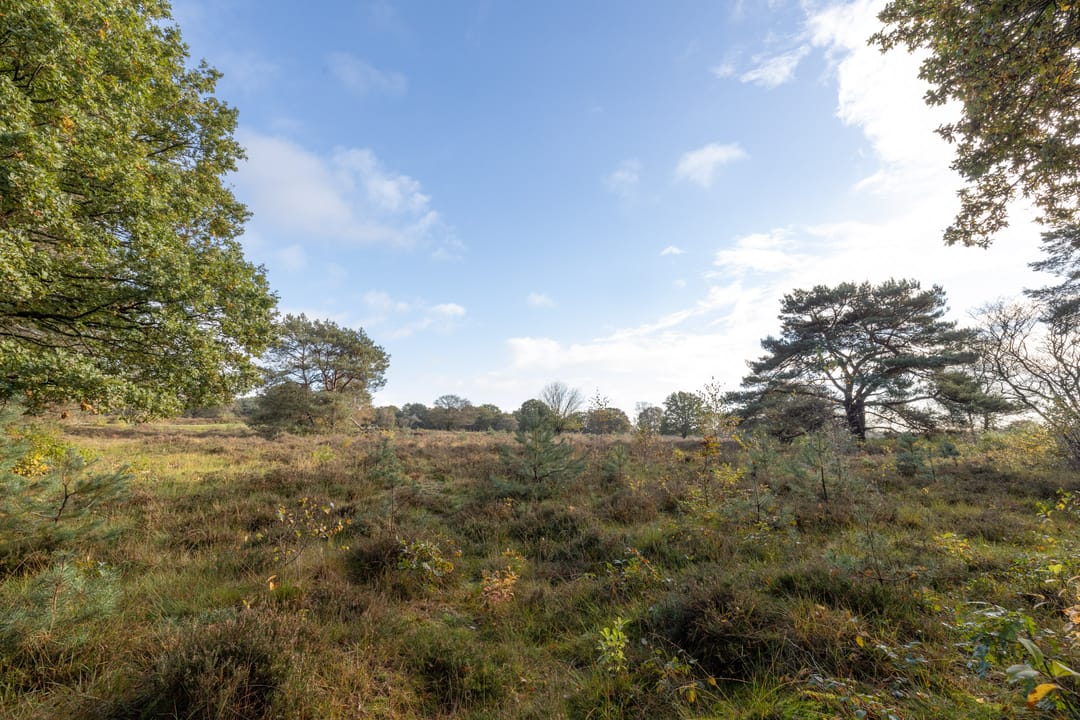 Photo 46 of Larenseweg 138