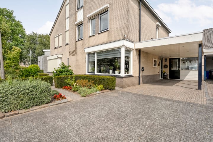 Foto 3 van Zilverdistel 18
