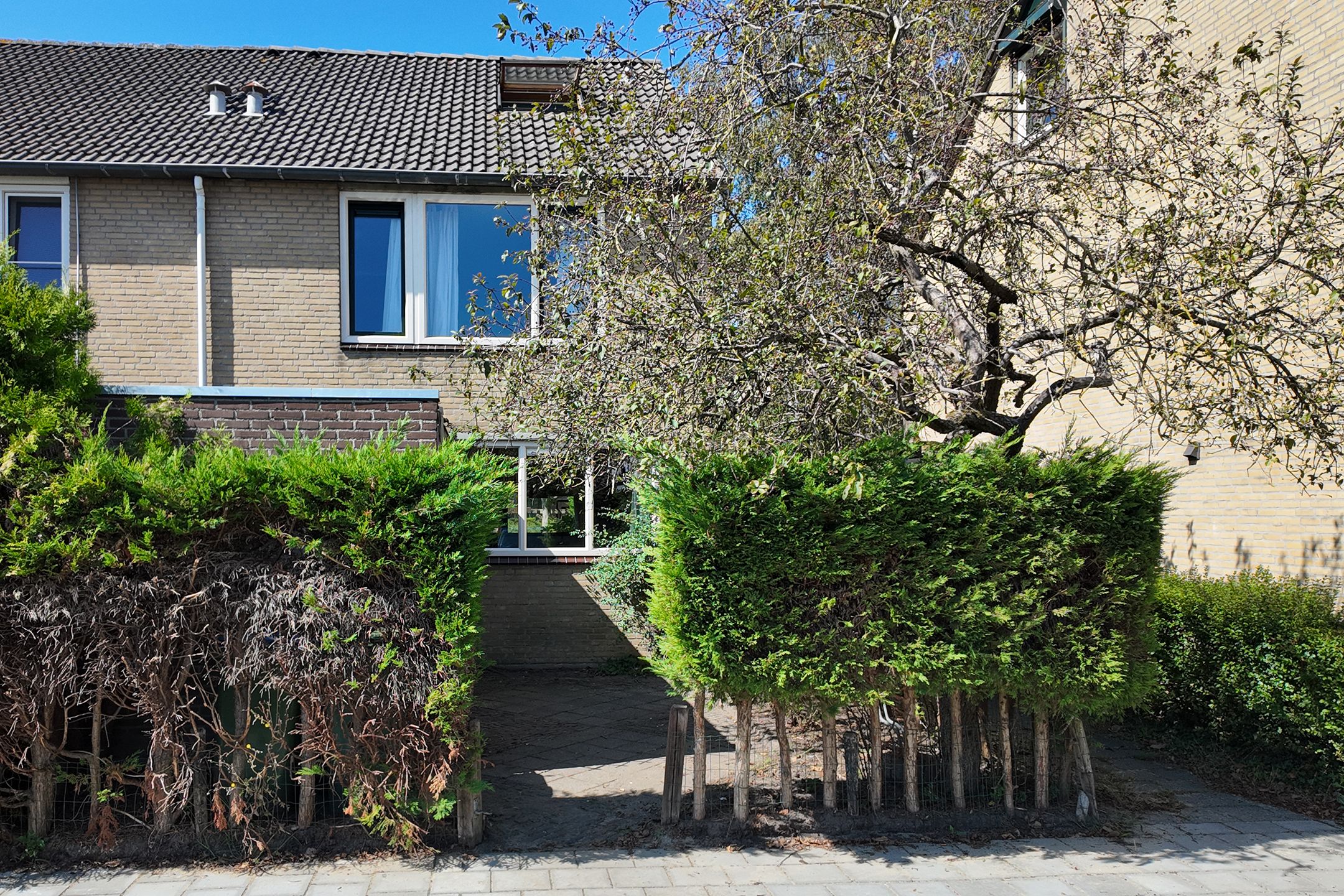 Photo 63 of Ansekerke 58