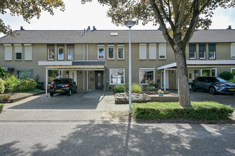 Pepijnstraat thumbnail