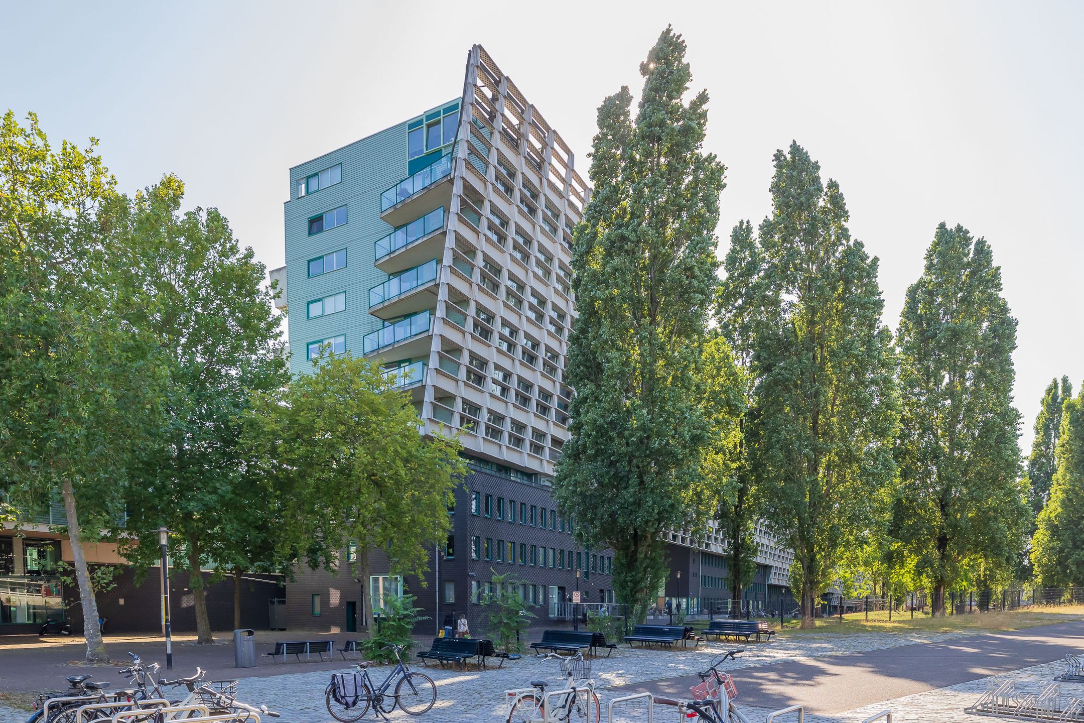 Rietlandterras 30 