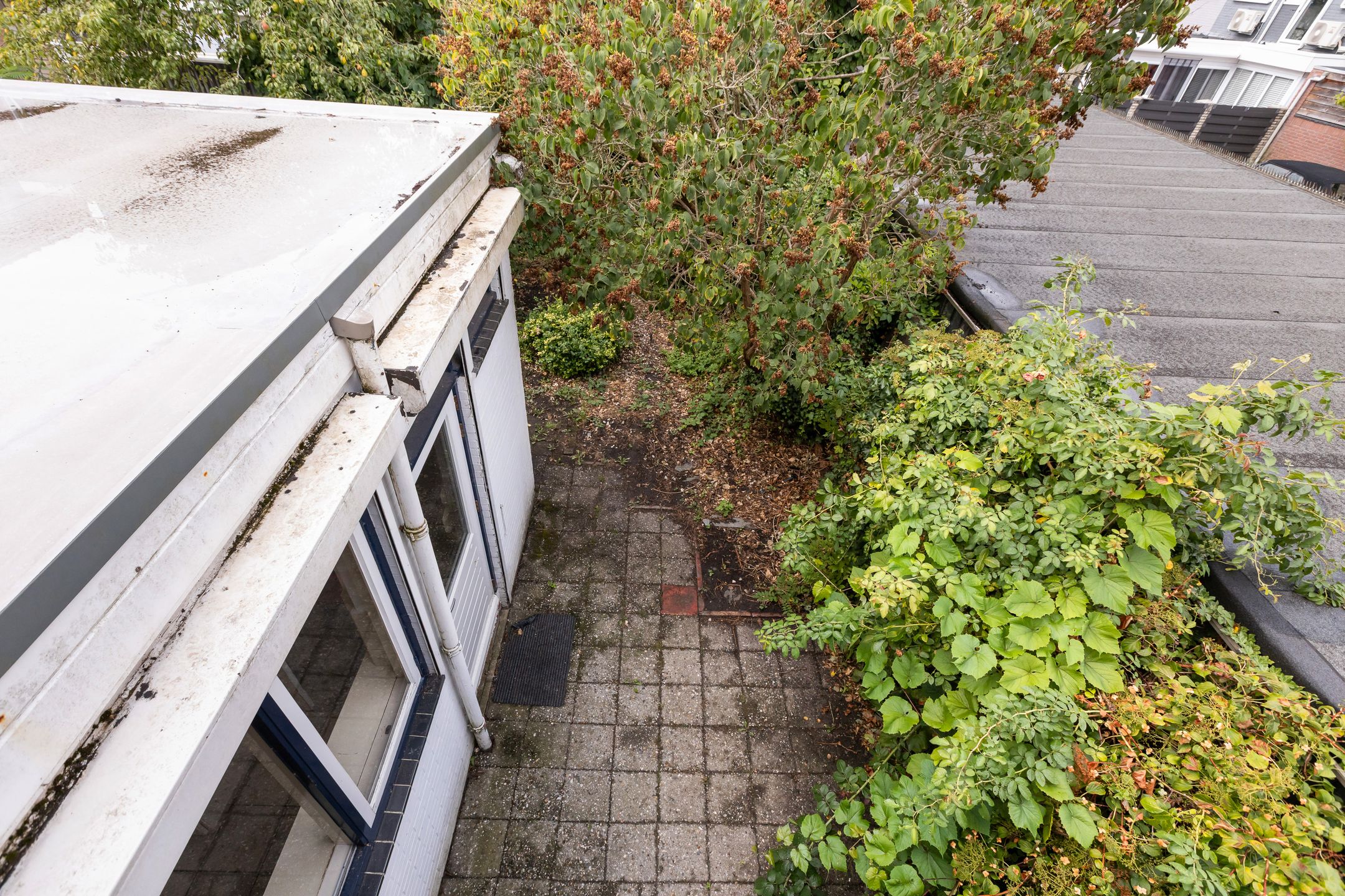 Foto 42 van Dokter Lemmensstraat 3