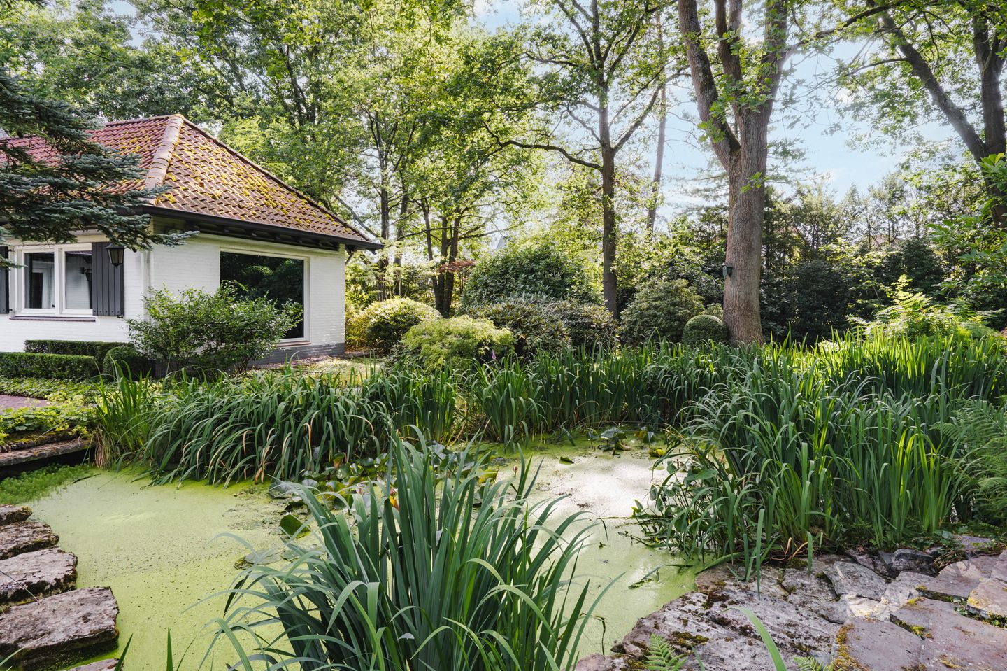 Photo 55 of Prins Constantijnlaan 1