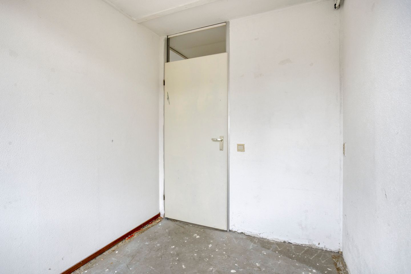 Foto 20 van Witte Klaver 11