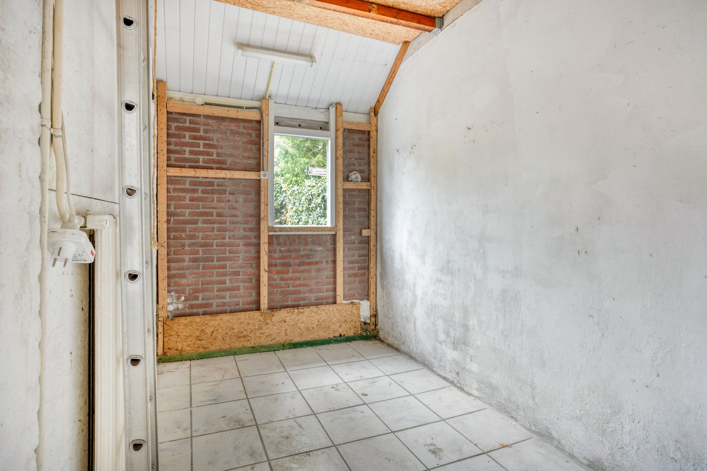 Foto 14 van Witte Klaver 11
