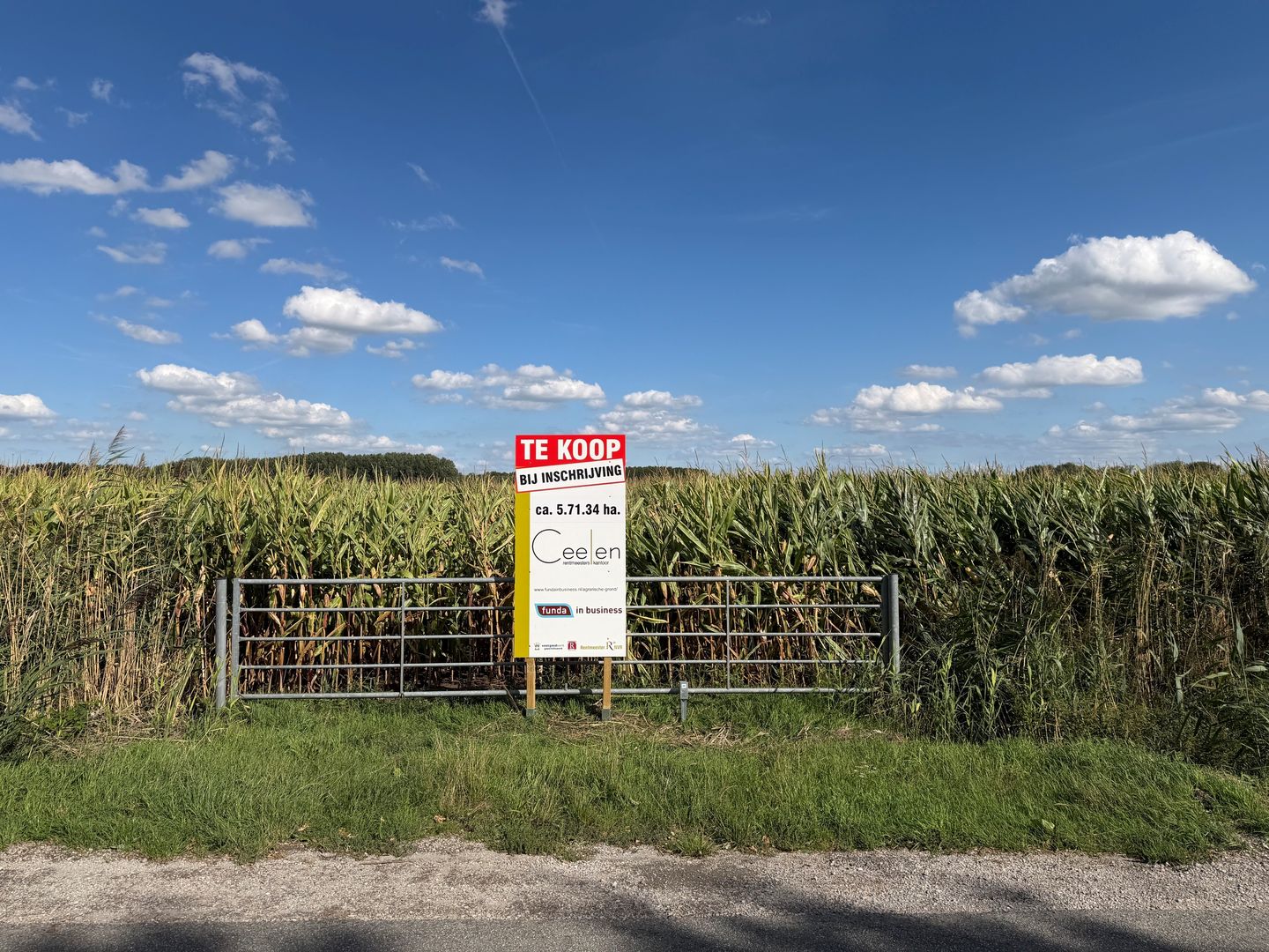 Winkelseweg - Hedel - Afbeelding 3