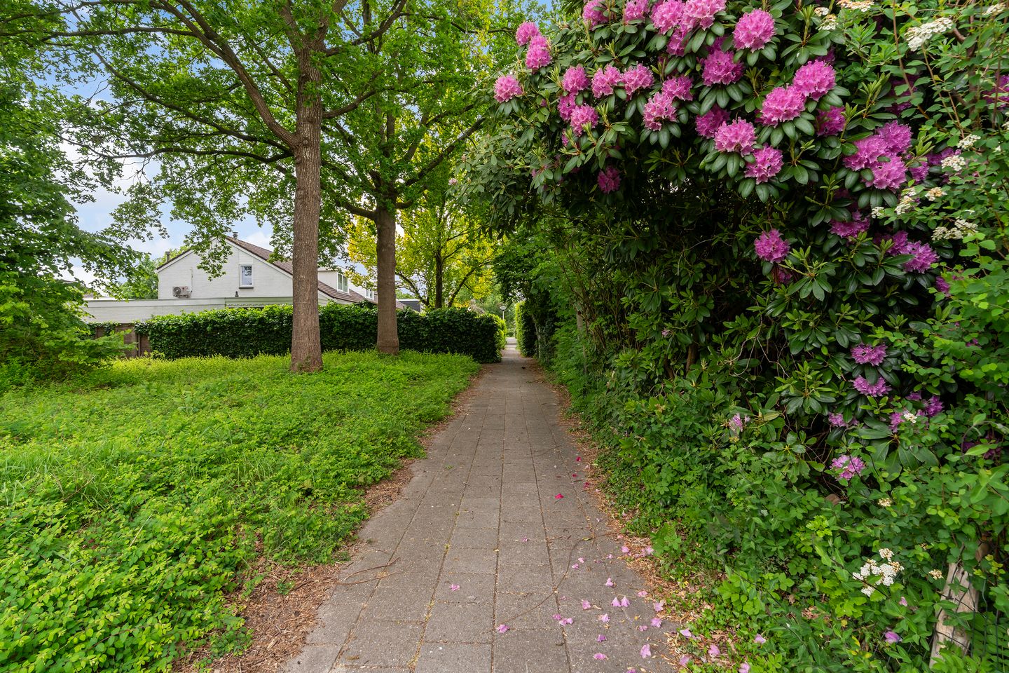 Foto 4 van Burgemeester van Panhuyslaan 37