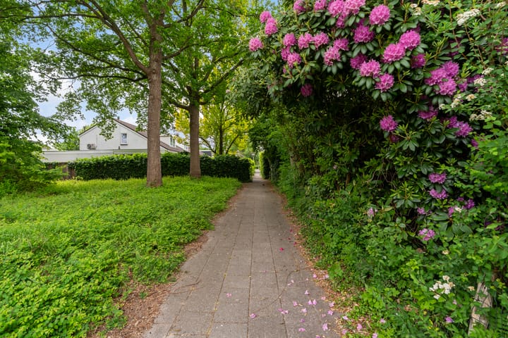 Foto 4 van Burgemeester van Panhuyslaan 37