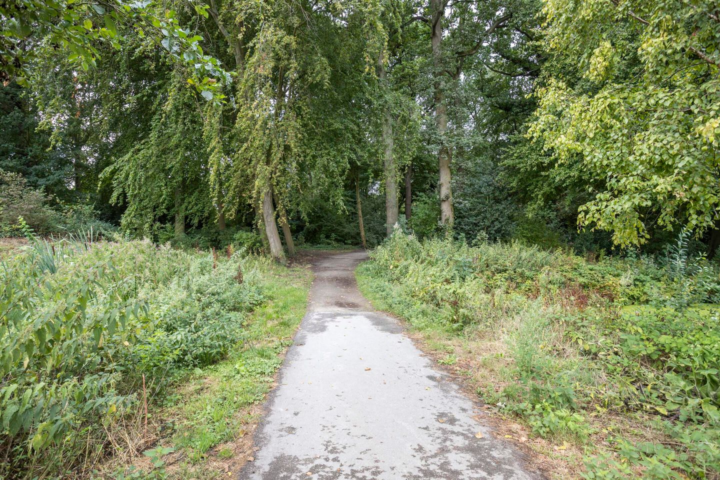 Photo 29 of Smaragdhorst 439