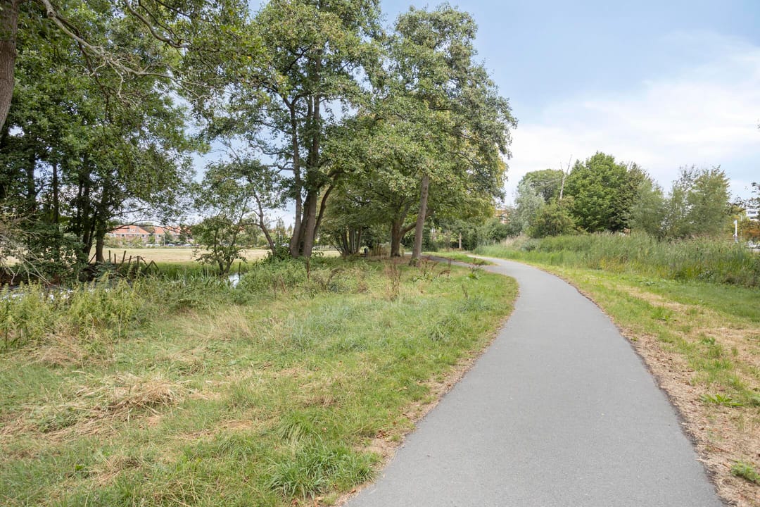 Photo 28 of Smaragdhorst 439